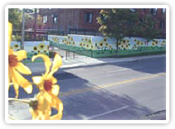 Senior&rsquo;s Sunflower Mural on Christie Street